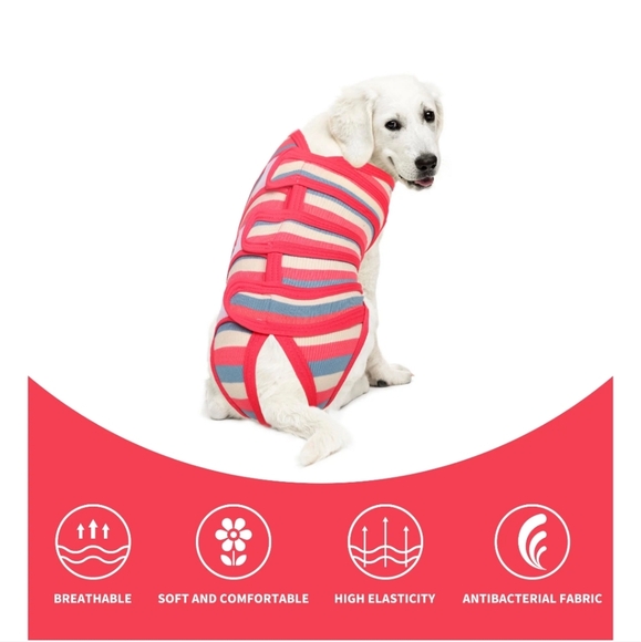 Recovery suit for dogs/cats size small - Picture 5 of 5